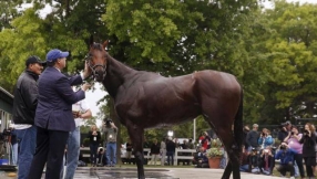 Kentucky Derby 2017 news: Odds, favorites, draws, and where to watch