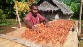 Vanuatu farmer trained by Christian charity among world\'s top 50 cocoa makers