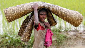 Rohingya Muslims flee as more than 2,600 houses burned in Myanmar\'s Rakhine