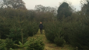 British Schoolboy Celebrates Christmas the Productive Way â By Selling Christmas Trees