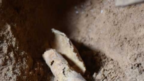 Discovered - The Twelfth Dead Sea Scroll Cave Of Israel