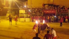 Video footage shows tragic moment bull commits suicide after jeering crowd sets its horns on fire