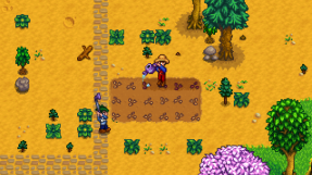 'Stardew Valley' to receive new single player content