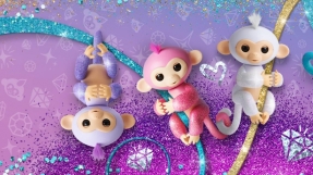 Where to buy Fingerlings for best price?