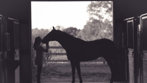 How a horse can teach you about God