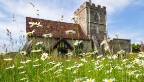 Season of Creation asks churchgoers to pray and act for the natural world