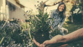 Anxiety and depression: why doctors are prescribing gardening rather than drugs