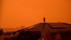 What is the truth about the Australian bushfires?