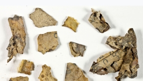 Ancient Bible fragments dating back nearly 2,000 years discovered in Judean Desert