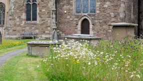 National count to assess biodiversity in churchyards