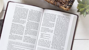 Passion Translation removed from Bible Gateway