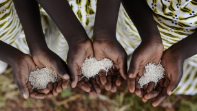 The progress in alleviating world hunger is in danger of being lost