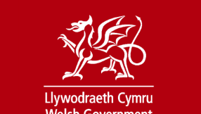 Parents urge Welsh government to delay rollout of RSE