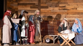 Watch out for the sheep: live animals bring spectacle and humour to Nativity scenes