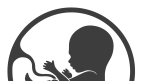 Schrodinger\'s foetus