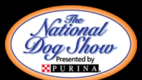 Watch the 2013 National Dog Show live stream online (NBC TV schedule)