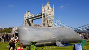 Inflatable whale gives London parks the hump