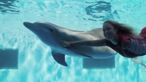 Bethany Hamilton features in newly released Dolphin Tale 2 trailer [WATCH]