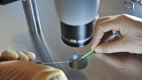 Christian ethicists concerned over \'three parent baby\' IVF plan