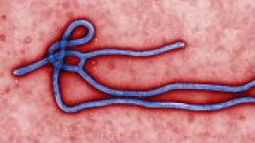 State of emergency measures enacted to combat Ebola outbreak