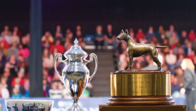 National Dog Show 2014: Start time, TV schedule (NBC Sports)