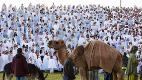 Live Nativity scene breaks Guinness record