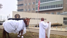 Mississippi pastor puts horse in a wedding dress in bizarre gay marriage protest