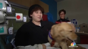 Teenager fighting leukemia says the love of dogs is helping him get through gruelling chemotherapy