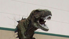 Church-state separation group wants school to stop field trips to creationist museum