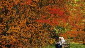 Go green: People who live near trees on city streets are healthier, researchers say