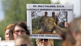 Cecil the lion: We\'re capable of caring about more than one thing at once