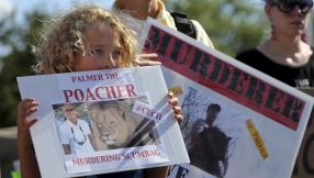 US is investigating Cecil killing for illegal wildlife trading conspiracy 