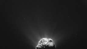 Life from space rocks? Scientists find complex molecules on comet\'s surface