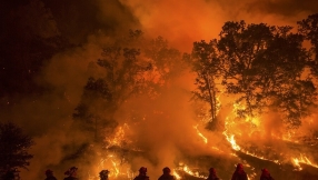 Fast-spreading inferno rages in California; governor declares state of emergency