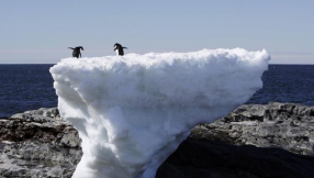 Scientists discover monster virus frozen in  Siberia for 30,000 years as Arctic ice melts