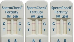 Hope for infertile men: Human sperm cell  successfully grown in French laboratory