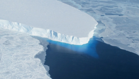 Antarctica may collapse by 2100 as ice shelves continue to melt rapidly, scientists warn