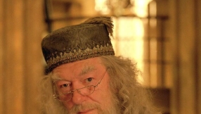 Pastor says \'Harry Potter\' unfit for kids because of one gay characterâProfessor Dumbledore