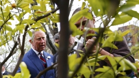 Prince Charles says climate change is root cause of Syrian war