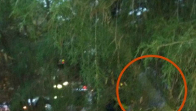 \'Angel\' watching over road accident victim appears in photo  taken by South Carolina pastor