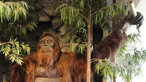 The bigger the better? Not in the case of this 10-foot tall ape called Gigantopithecus