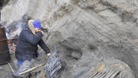 Remains of woolly mammoth found in Siberia may change human history