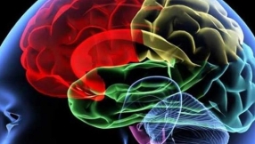 \'Neuroscience bombshell\': Human brain can store memories as extensively as the entire Internet