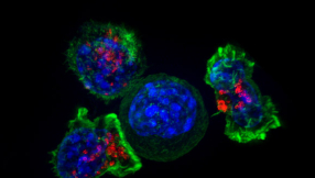 Breakthrough in cancer research: New \'personalised\' treatment addresses tumour mutations