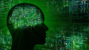 \'Game-changer\': Pentagon developing brain implant to allow humans to communicate with computers