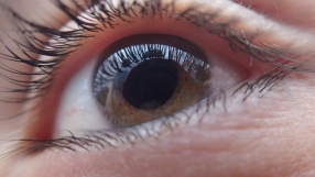 Glimmer of light for the visually impaired: Scientists successfully grow eyes from stem cells