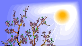 \'Reverse photosynthesis\': Sunlight can be tapped to produce energy and chemicals, scientists say