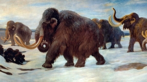 Scientists trying to resurrect extinct woolly mammoth through \'de-extinction\' process