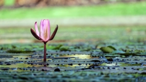 How doing the uncomfortable can foster spiritual growth