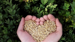 3 ways you can have a heart for the hungry this World Hunger Day